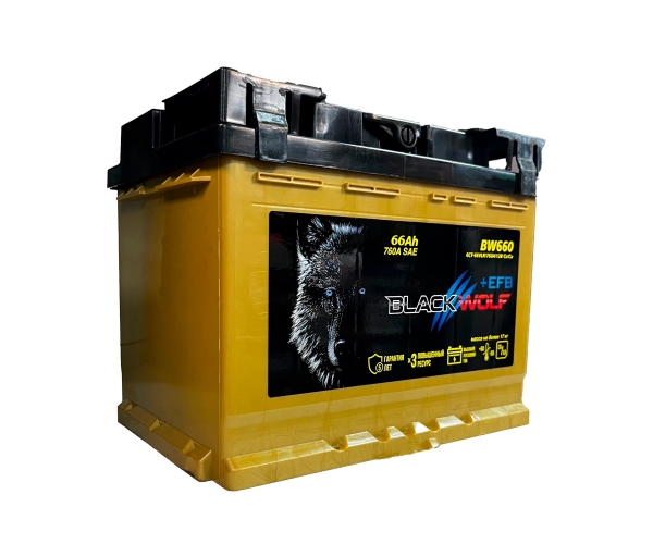 Аккумулятор, Black Wolf 066111K01BW EFB, 66 Ah, 760 А, обратная полярность